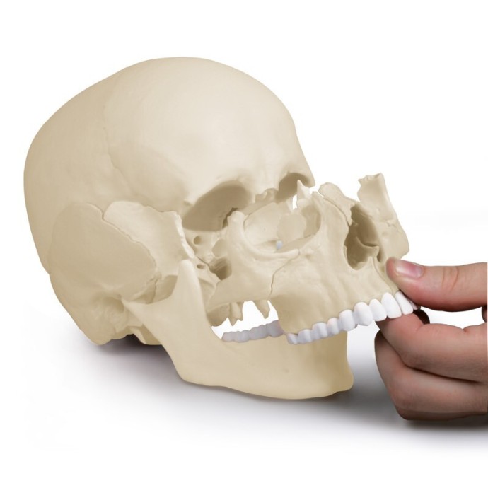 Medizin Teknik