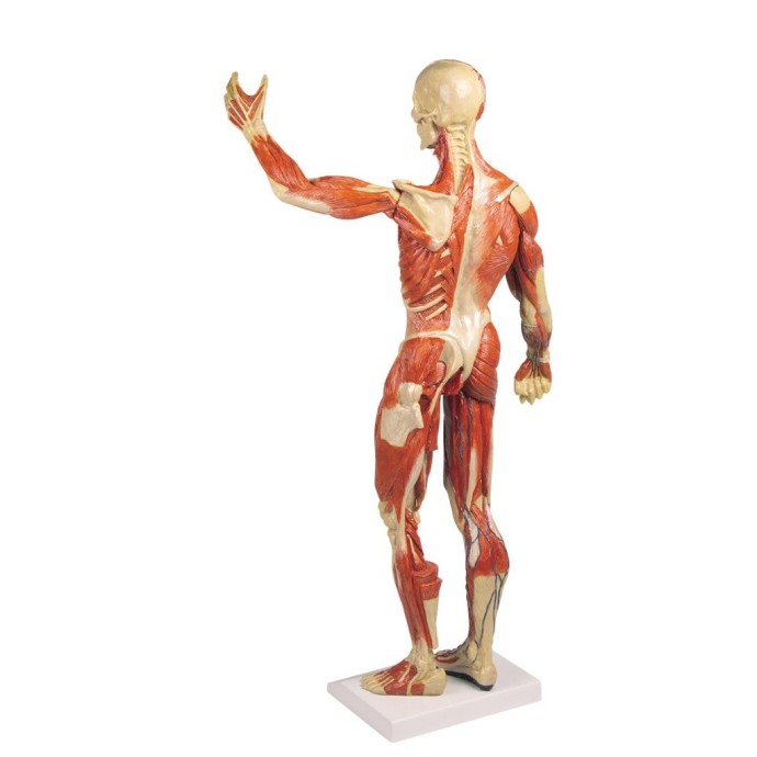Medizin Teknik