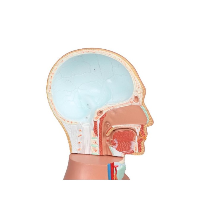 Medizin Teknik