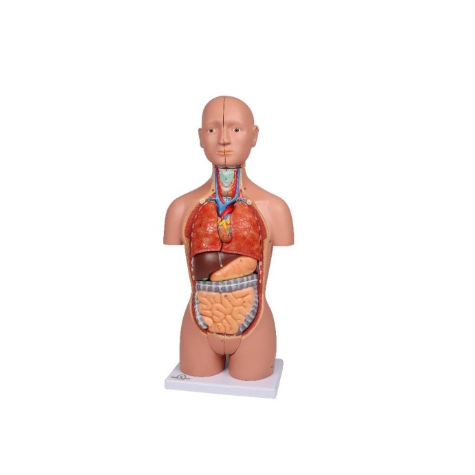 Medizin Teknik