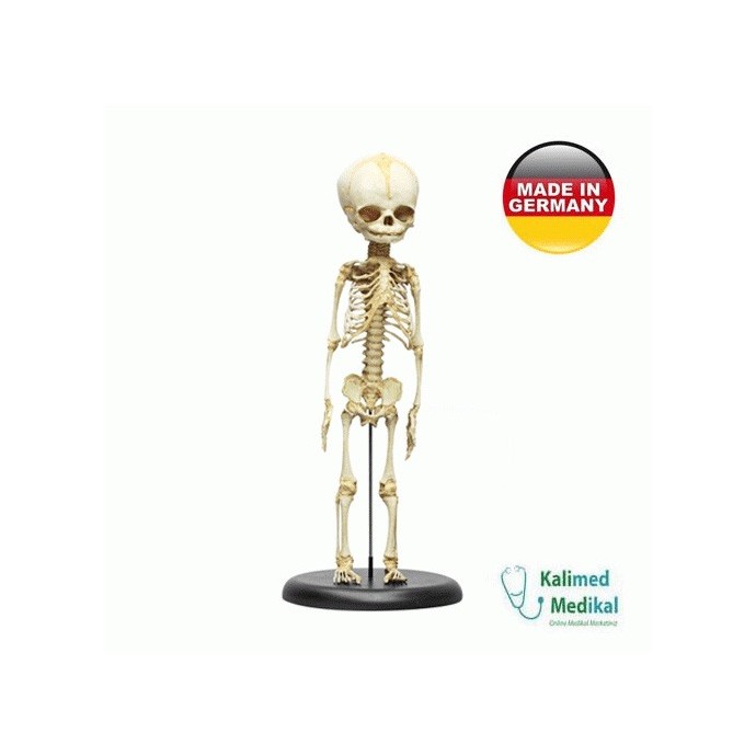 Medizin Teknik
