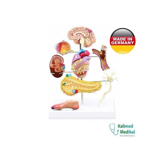 Medizin Teknik