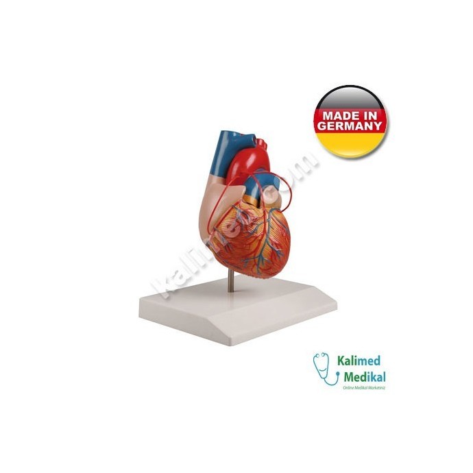 Medizin Teknik