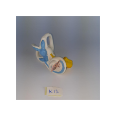 ERKENTMED K13 İÇ KULAK LABİRENTİ MODELİ
